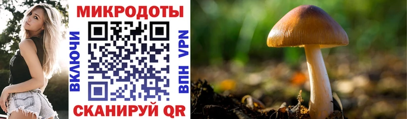 Галлюциногенные грибы MAGIC MUSHROOMS  Купить  Билибино 