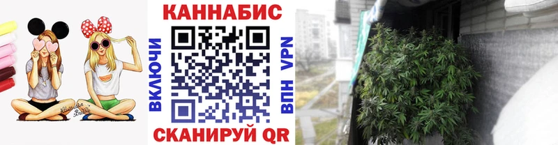 Бошки Шишки SATIVA & INDICA Купить Билибино